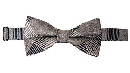 Bow Tie